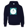 DryBlend® adult hooded sweatshirt Thumbnail